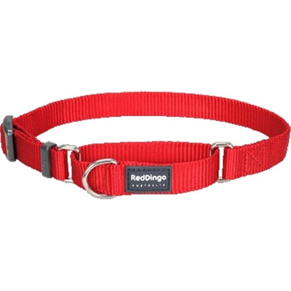 Red Dingo Martingale Dog Collar Classic Red, Small RE437171